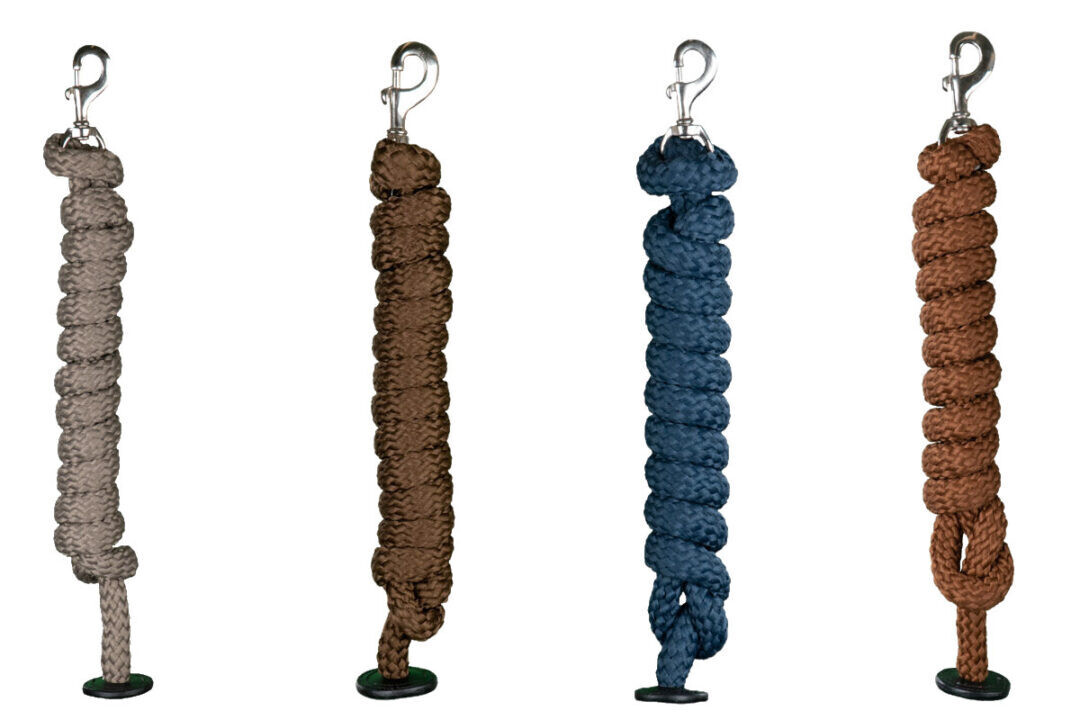 Longe Avec Mousqueton Amovible Dyon