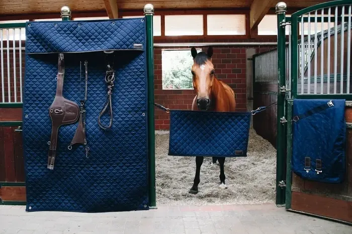 Stable Guard Kentucky 82102 Navy Stable Guard Kentucky 82102 Navy
