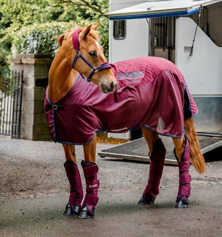 Rambo® Travel Series (50g Light) Horseware ACAGKX bdx Rambo® Travel Series (50g Light) Horseware ACAGKX bdx