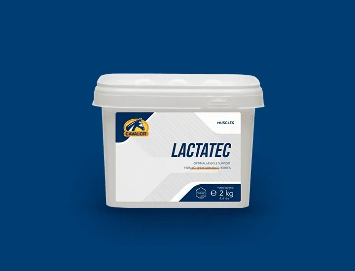 Lactatec Cavalor 2kg