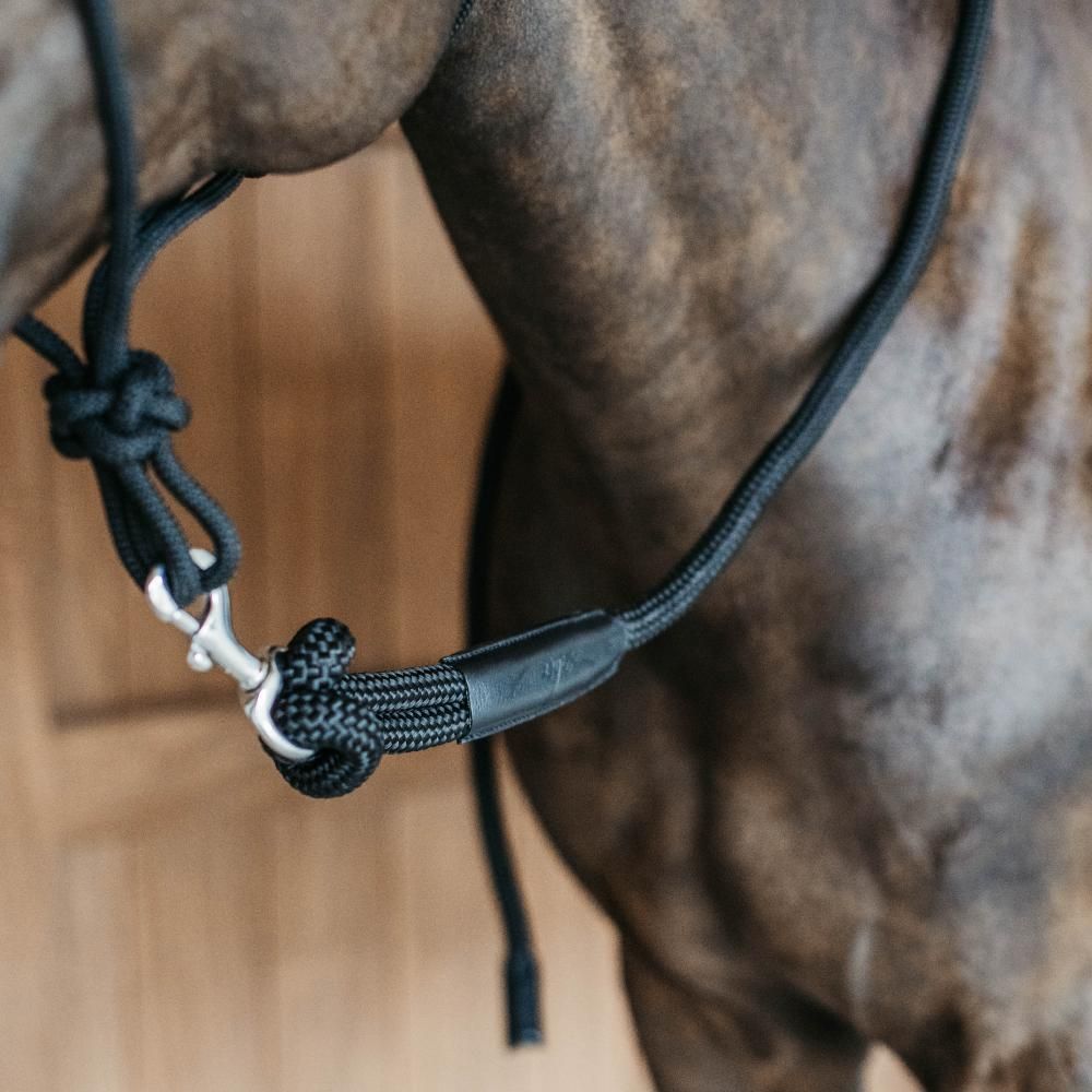 Longe Amovible avec mousqueton DyOn WO10C black