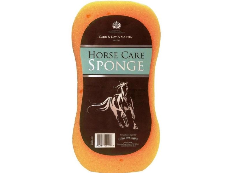 Sponge horse care