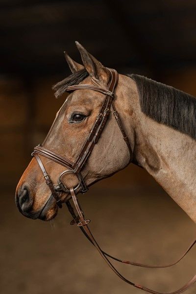 Bridon Pro line Milano HFi brown Bridon Pro line Milano HFi brown