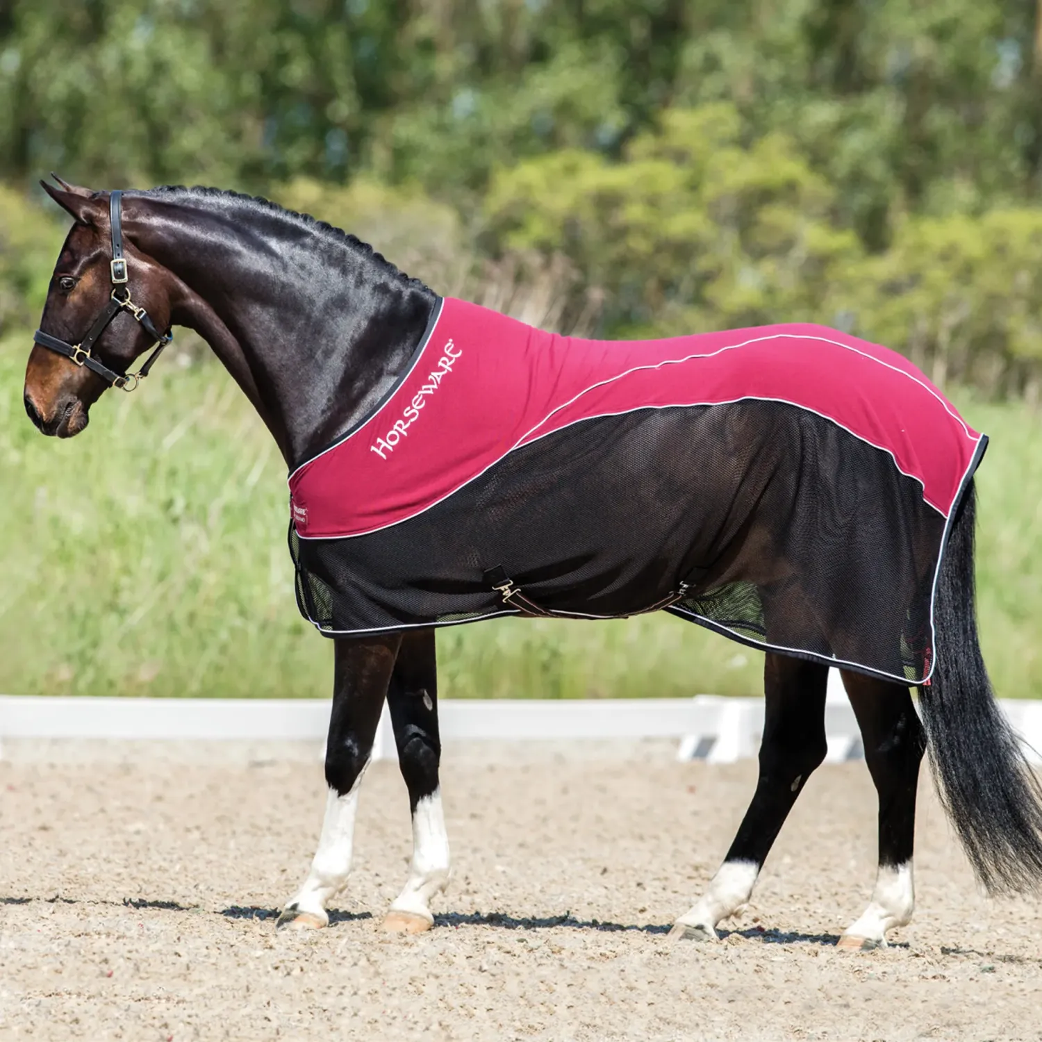 Chemise séchante Rambo Grand Prix Cooler Horseware black/pom Chemise séchante Rambo Grand Prix Cooler Horseware black/pom
