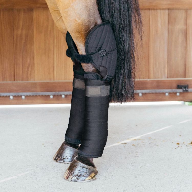 Sous Bandage d'Ecurie et de Transport avec Protection de Jarret Kentucky 42118 Sous Bandage d'Ecurie et de Transport avec Protection de Jarret Kentucky 42118