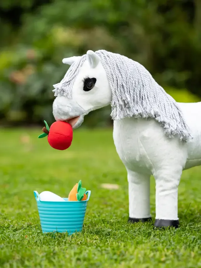 Toy Pony Treat Bucket Multi LeMieux Toy Pony Treat Bucket Multi LeMieux