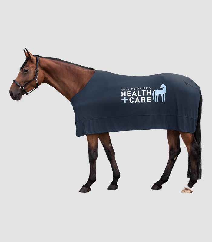 Waldhausen Health + Care Ice Layer rug