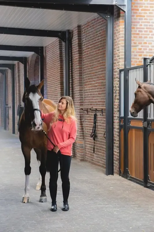 Hoodie Sweat FW25 Horse Pilot Hoodie Sweat FW25 Horse Pilot