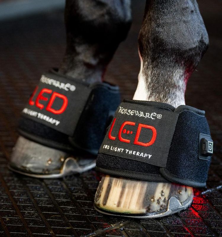 cloches de thérapie par lumière rouge LED Horseware