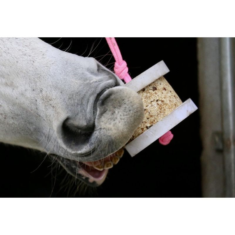 Happy Wild Support  Happy Crackers