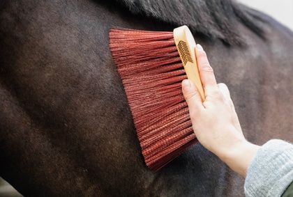 Kentucky Medium Long Cork 82139