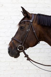 Kentucky Soft Bridle SO1001