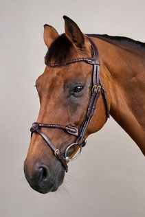 Bridon muserolle combinée tréssé Dyon DYARAYB