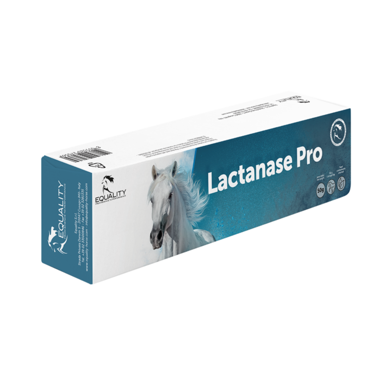 Lactanase Pro Paste 50g Equality Horse