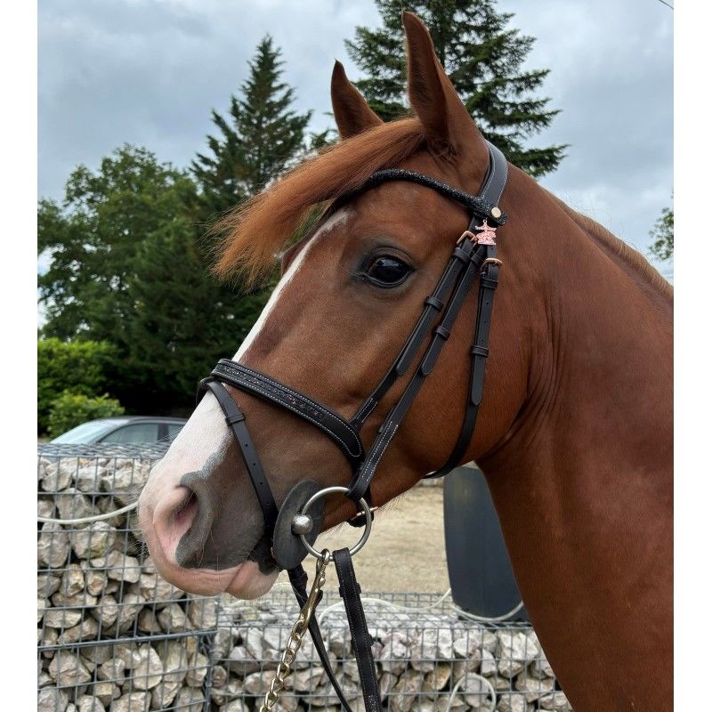 Bridon Disco + Rênes Ju&Pa