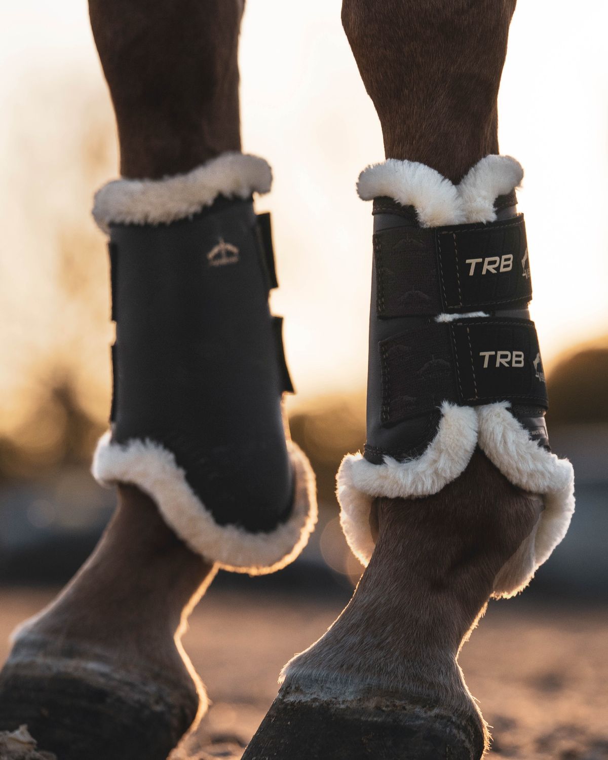 Guêtres fermées Antérieurs TRB Save the Sheep Veredus