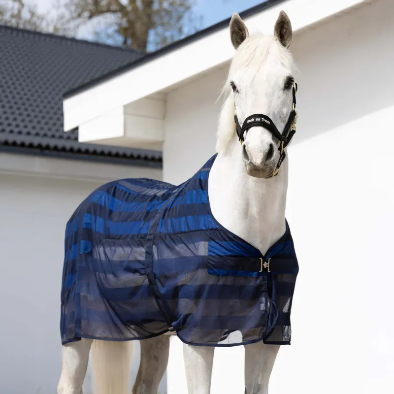 Back On Track  Cool on Track  blanket