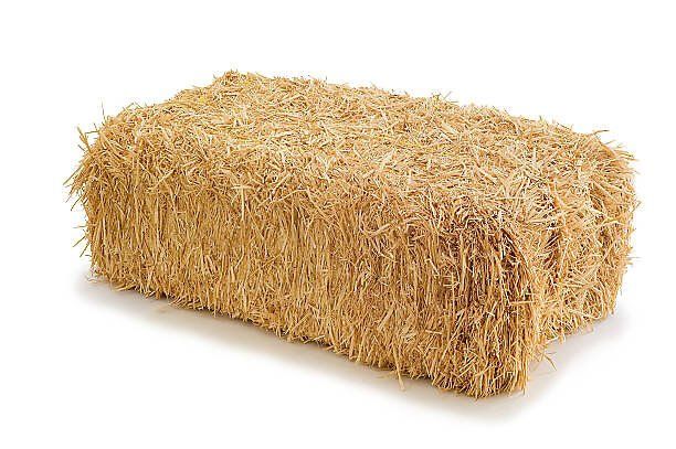 Little Bundle of Straw