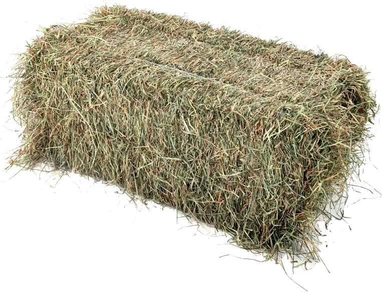 Little Bundle of Hay