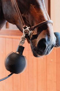 Balle de protection de longe et mur PRO Kentucky 82258 Balle de protection de longe et mur PRO Kentucky 82258