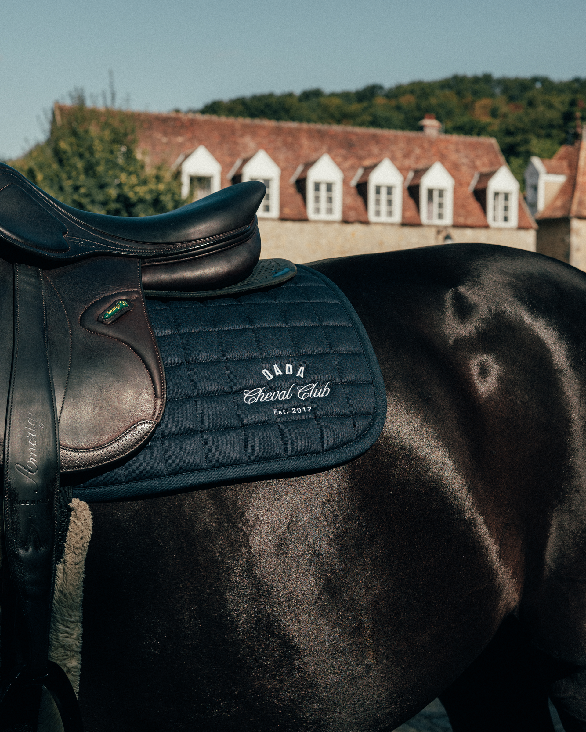 Deuxcatsix Tapis Dada Sport cheval Club