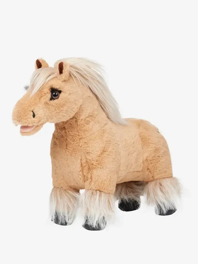 Poney Lemieux Cloudy Poney Lemieux Cloudy