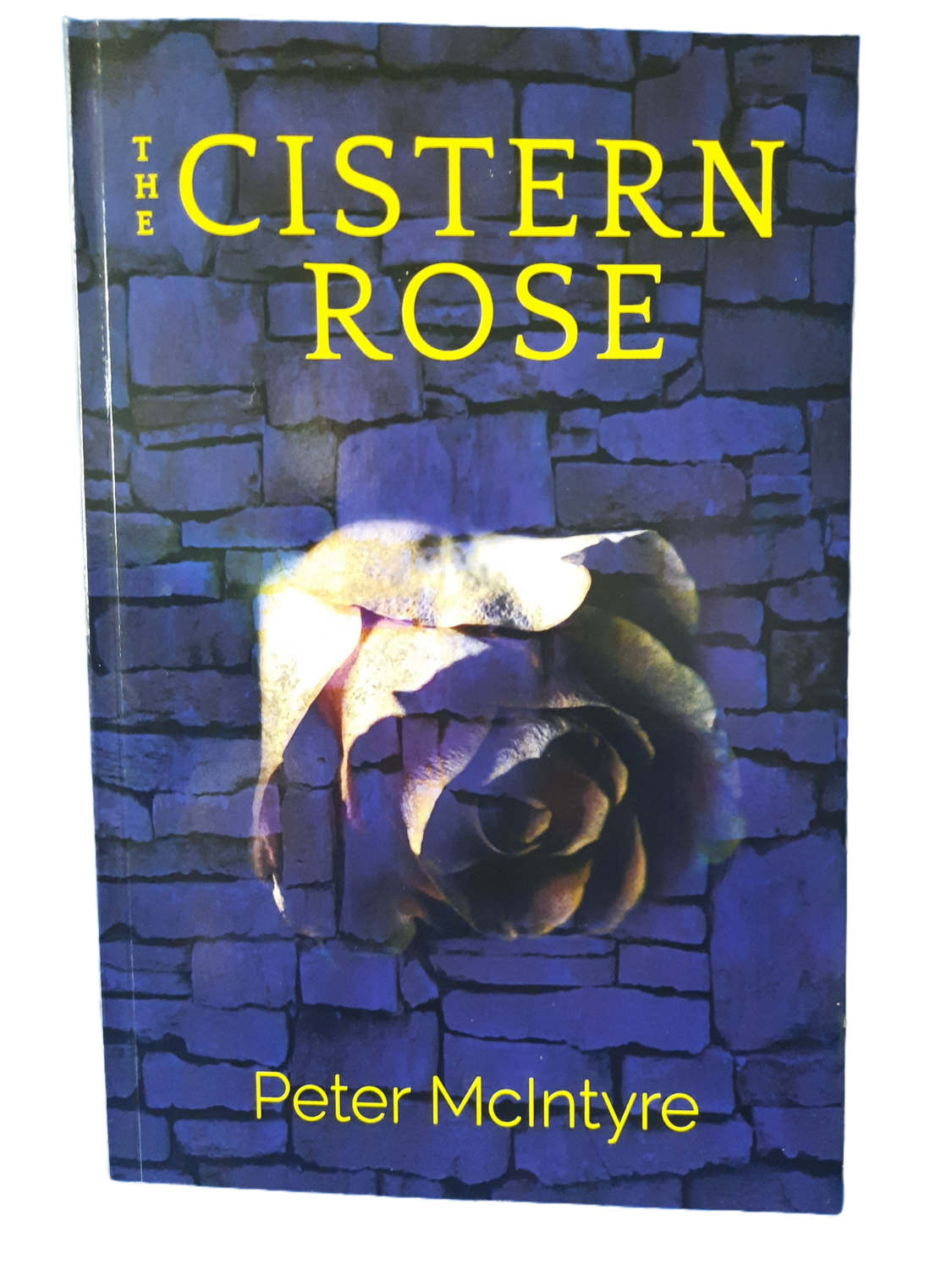 The Cistern Rose