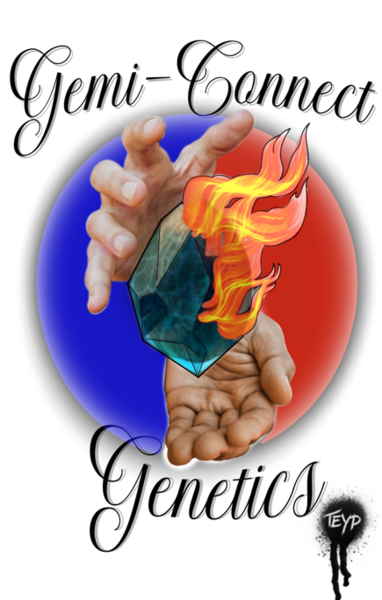 Gemi-Connect Genetics
