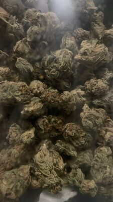 GEMI-CONNECT GENETICS CRAVED COOKIES