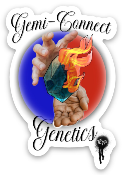 Gemi-Connect Genetics llc