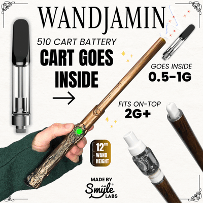 NEW! Wandjamin Cart Battery with LED Light &amp; Slide to Hide Feature (510 CELL)