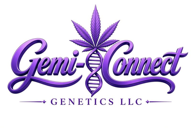 Gemi-Connect Gift Card
