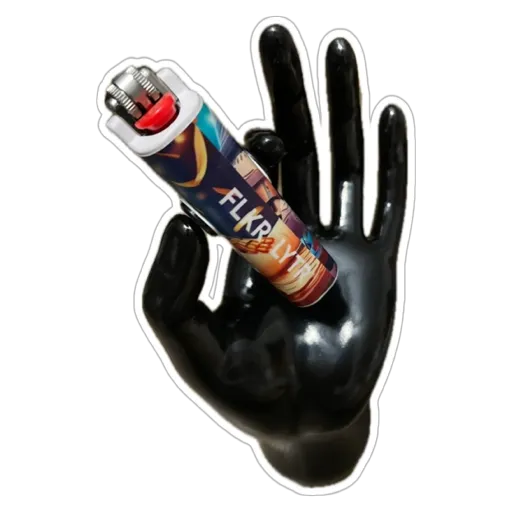 GEMI-CONNECT GENETICS FLYKR LYTR GEMI-CONNECT GENETICS FLYKR LYTR