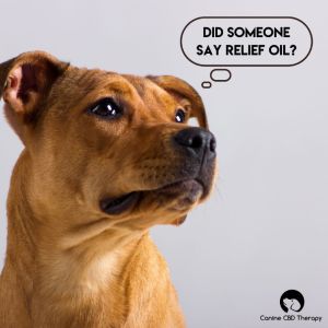 CANINE CBD THERAPY RELIEF ~RUB-ON RELIEF