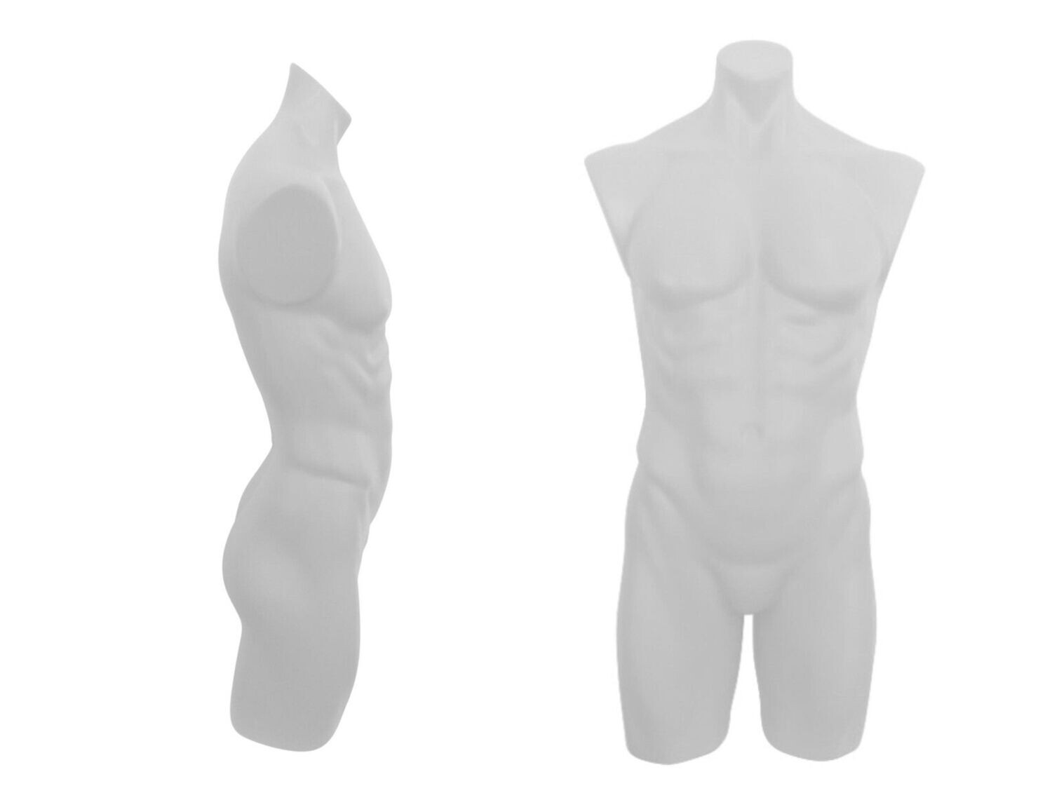 Highly Durable Male Plastic Torso