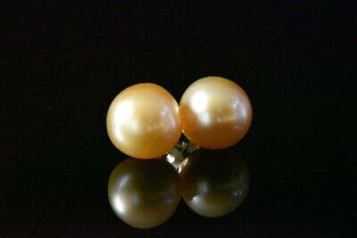 10MM Golden Pearl Studs in 14KWG