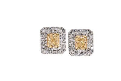 Natural Yellow and White diamond Earrings in 18KWG