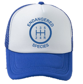 Blue Endangered Species