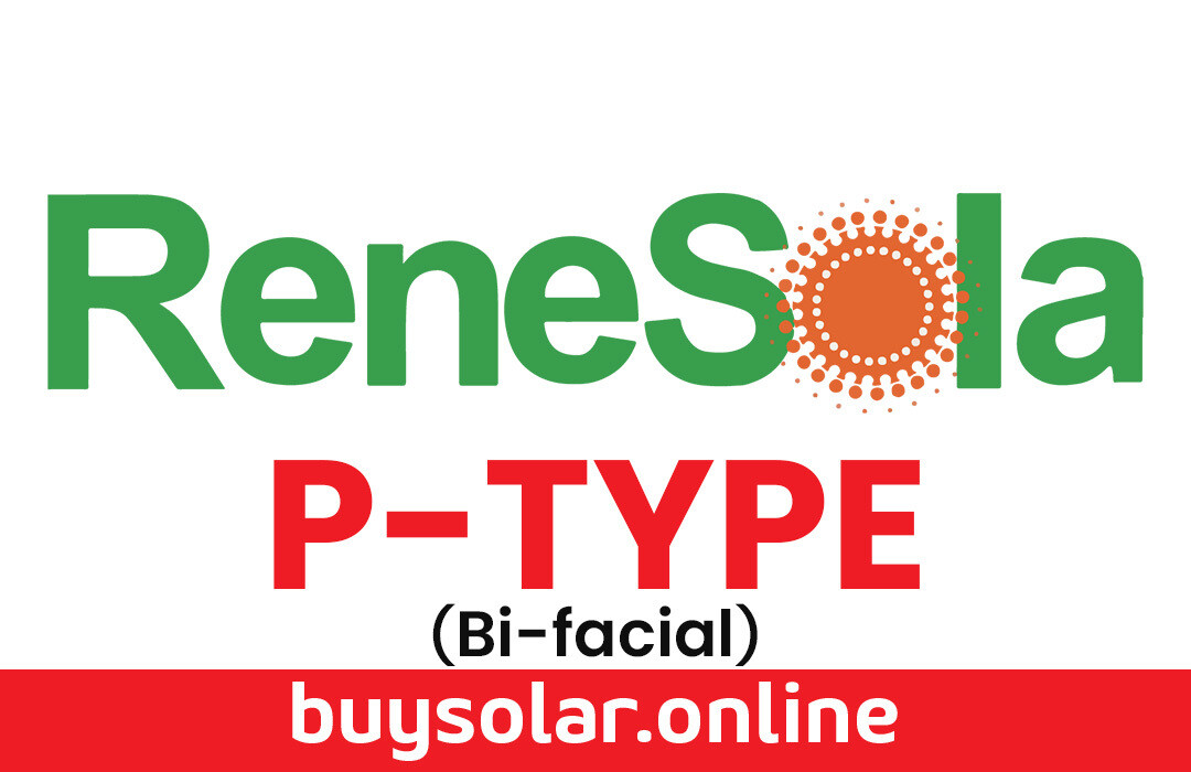 RENASOLA P-TYPE Bi-Facial