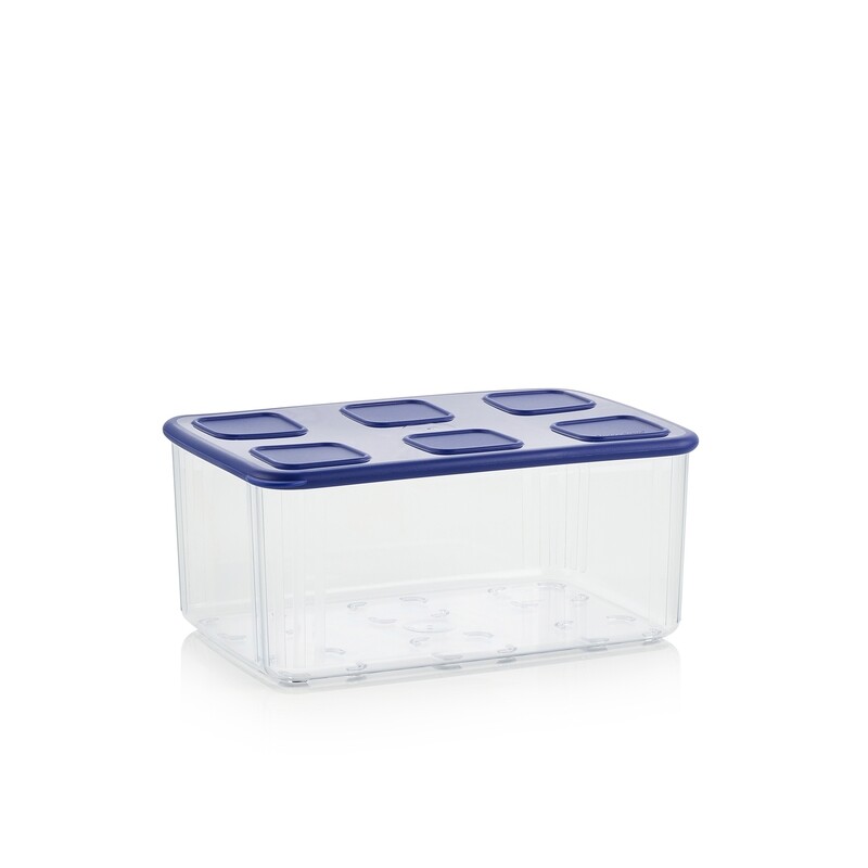 CAJA DE CONSERVACION TRANSPARENTE 2,5 L