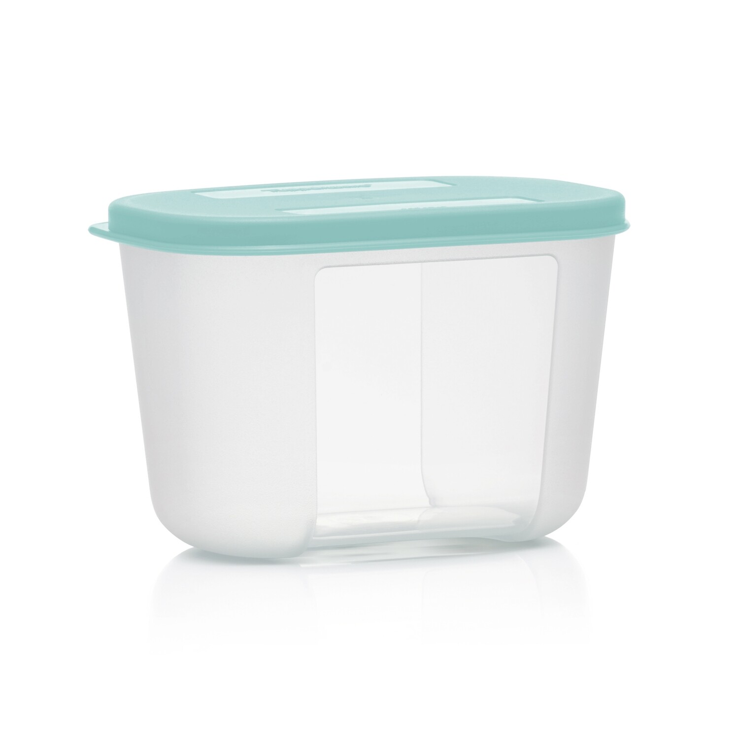 CAJA DE FRIGORIFICO 300 ML