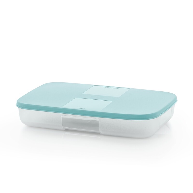 CAJA DE FRIGORIFICO 650 ML