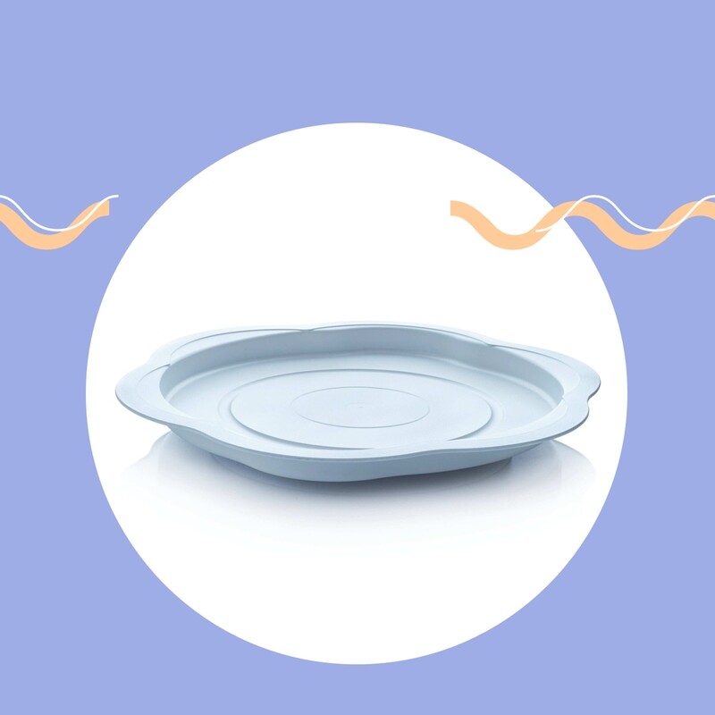 BANDEJA GIRATORIA