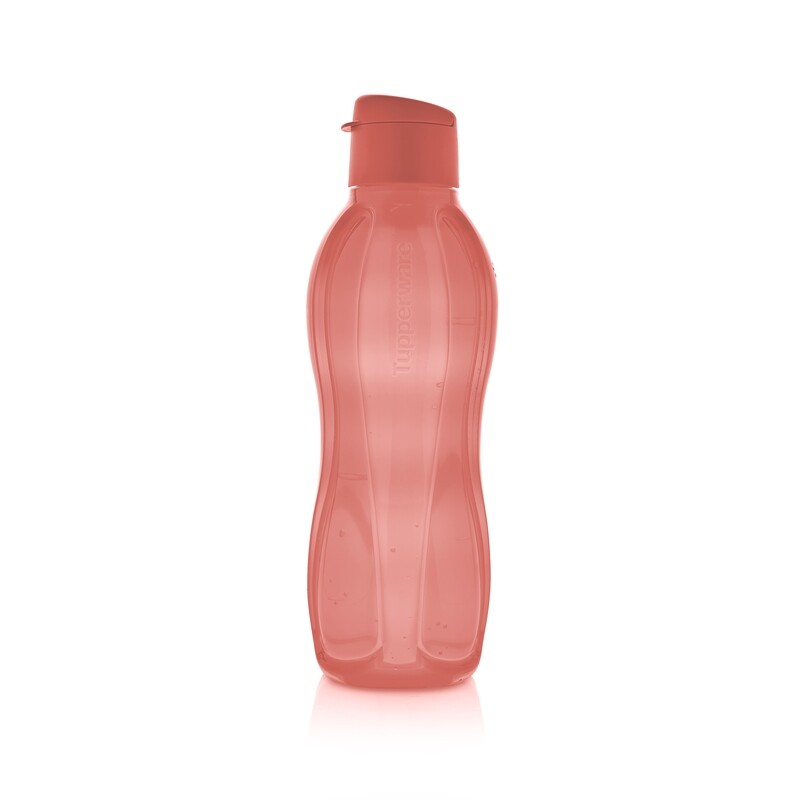 ECO BOTELLA 1 L SANDIA
