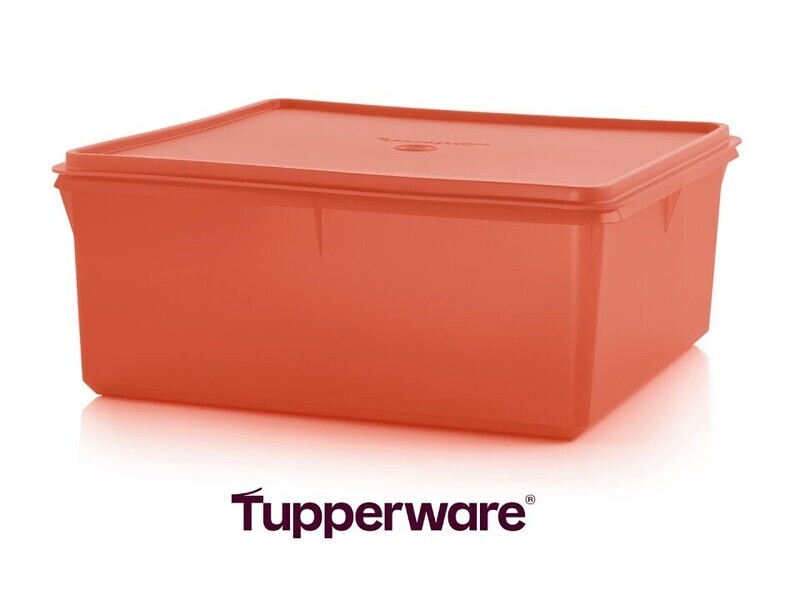 CAJA MULTIUSOS CUADRADA 10 L
