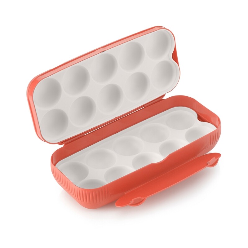 CAJA PARA HUEVOS