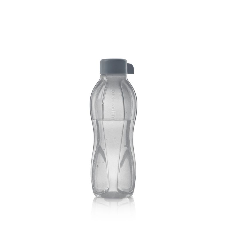 ECO BOTELLA 500 ML PLATA