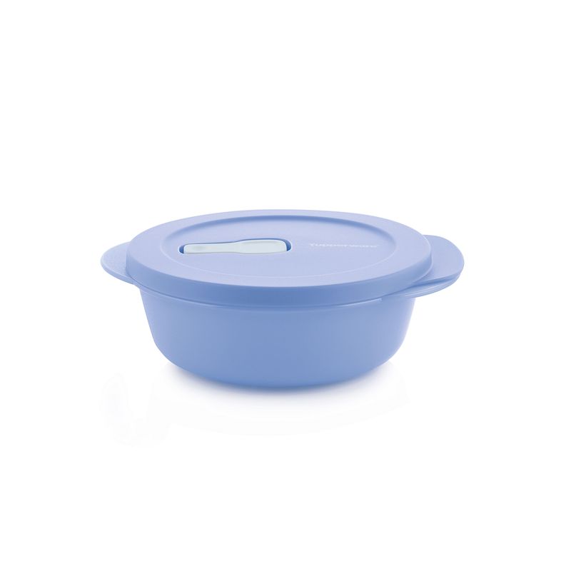 MICROFLASH DE 560 ML