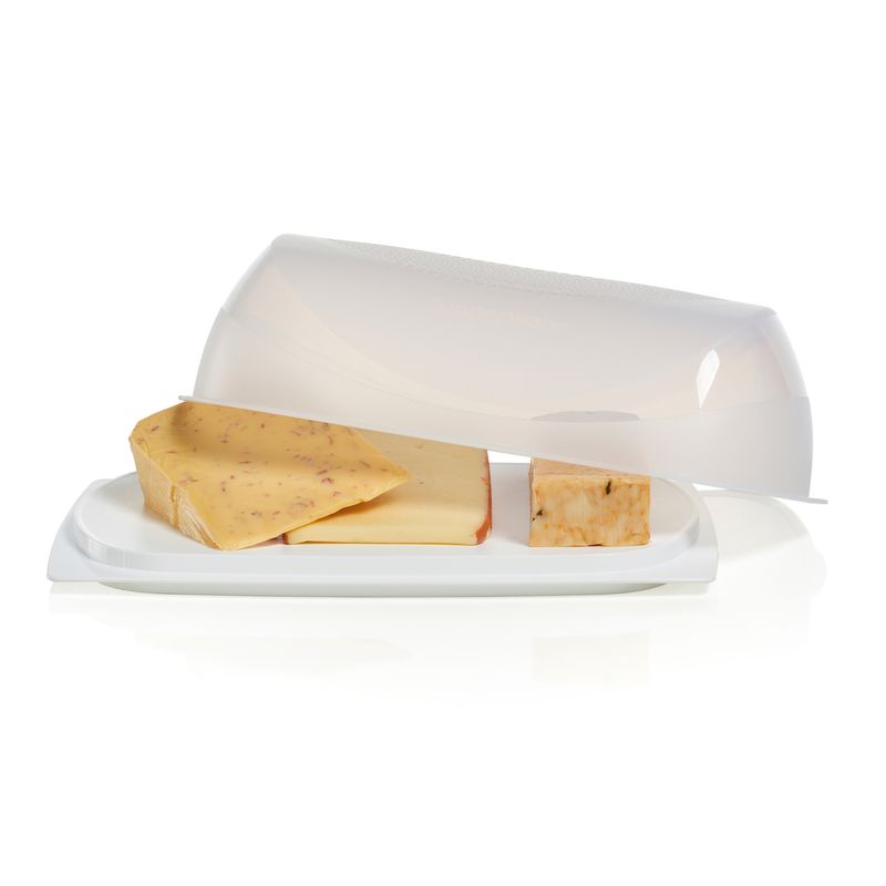 CHEESMART RECTANGULAR