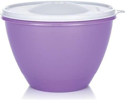 BOL 1,9 L MORADO